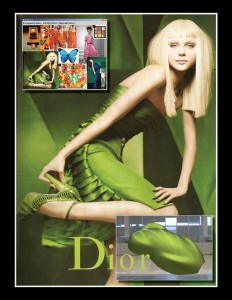 Virtual Mood Board For Selecting Parameters to BRDF Color (Photo of Jessica Stam by Craig McDean for Dior)